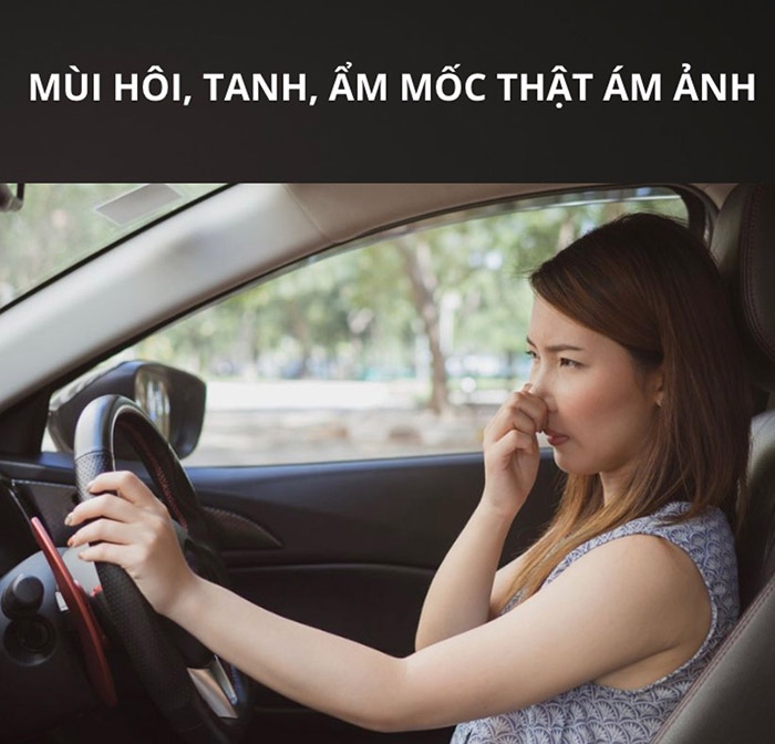 Nội thất ám mùi, tanh bẩn